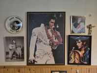 En älskad Elvis Presley-samling söker sin nästa ägare