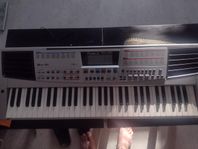 Roland EM-25
