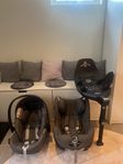 Bilstolspaket Cybex