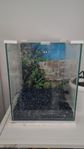 Nano akarium 