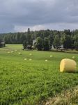 Höbalar hösilage