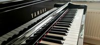 Yamaha CLP-735 i Polerad Elfenben 