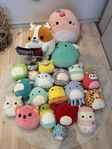 Squishmallows