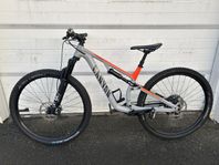 Canyon Neuron 7
