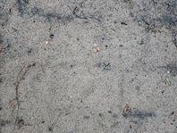 Fyllnadsmassor Sand ca 1,8 kubik