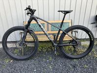 Trek Roscoe 7