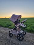 Bugaboo fox