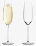 Helt Nya - Eva Solo Champagneglas 20 cl