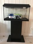 54 l akvarium komplett med möbel