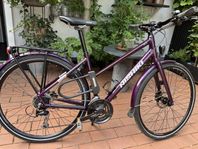 NISHIKI CITY 501