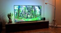 Philips 55" 4K UHD Ambilight