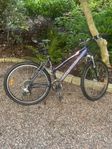 Merida Mountainbike