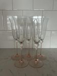 5 Flûte champagne glasses with rose / pink stem