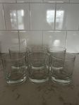 6 tumbler glasses