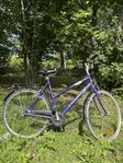 crescent cykel 