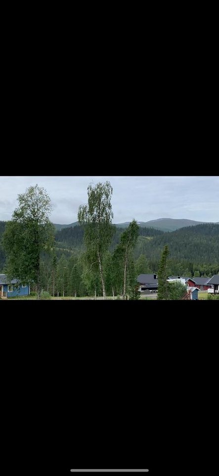 fjälltomt i stugområde bredvi...