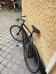 Mongoose Maurice Blue Singlespeed