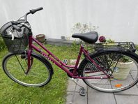 Sjösala damcykel