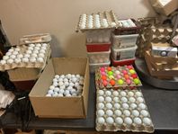 ProV1 mfl