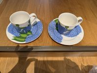 iittala primavera kopp och fat