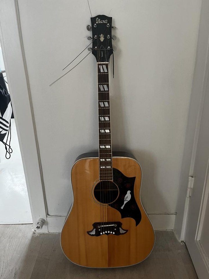 Ibanez Dove Concord 693, mitt...