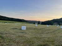 hö ensilage