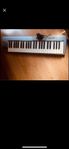 Midi Keyboard 49 M audio 