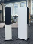 Dynaudio Emit 30