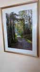 Stort inramat fotografi på fotopapper: Naturstämning!