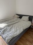Kontinentalsäng 160