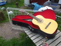 Bjärton gitarr