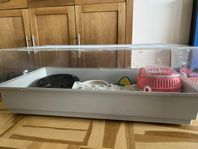 Hamsterbur med tillbehör 