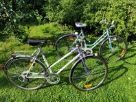 2 schyssta damcyklar