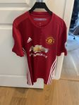 Zlatan matchtröja