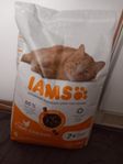 Iams Senior Torrfoder 10kg