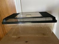 Plastterarrium petbox