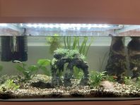 akvarium 105L med tillbehör