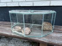 panorama terrarium
