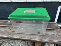 petbox