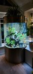 Stort cylinder akvarium ca 800 L