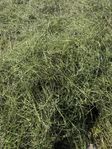 Hösilage och Halm rundbalar 