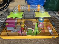 Hamster bur 