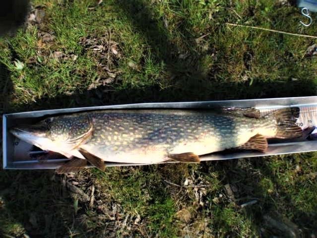 Fisksump och mätbräda till fi...