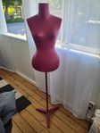 Torso