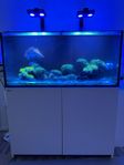 Saltvattensakvarium- Red Sea 425xl komplett m. utrustning