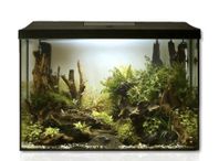Akvarium 72 liter
