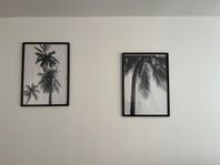  2 tavlor 50x70 cm – palmer