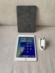iPad Mini 5, 64GB, Wi-Fi i fint skick