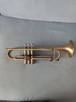 Thane Performance Trumpet