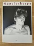 Konstbok: Mapplethorpe
